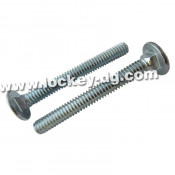 Round Head Square Neck Carriage Bolts DIN603 Amse B18.5