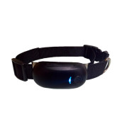 Shenzhen Factory Price Mini GPS Tracker for Cat