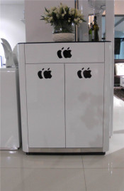 Shoe Cabinet Apple Style Furniture with Living Room Furniture (XG-113)