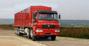 Sinotuck Gold Prince Cargo Truck 8*4