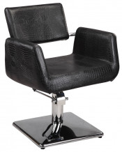 Small Design Styling Chair Salon Furniture (MY-6916)