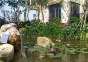 Small Solar Water Fountain