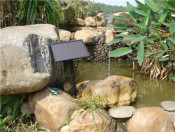 Solar Water Fountain Pump Gy-F-028