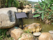 Solar Water Fountain Pump