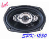 Speaker (SPK-1230)
