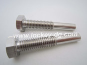 Special Stainless Steel Hex Bolt with Half Thread
