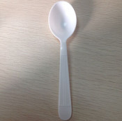 Spoon Disposable Spoon