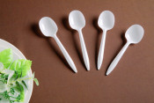 Spoon Plastic Spoon Soup Spoon Tea Spoon