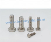 Stainless Steel 304/316 Hex Bolt
