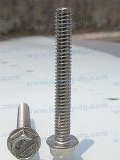 Stainless Steel 304 Flange Screw Flange Bolt