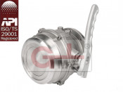 Stainless Steel API Openable Adaptor Valve (H806D-100)