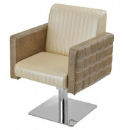 Stainless Steel Base Beauty Salon Chairs (MY-007-65)