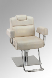 Stainless Steel Base Salon Chair (MY-28461R)