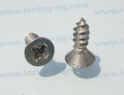 Stainless Steel Flat Head Tapping Screw