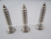 Stainless Steel Flat Head Undercut Self Tapping Screw