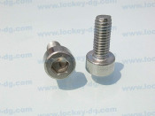 Stainless Steel Hex Socket Head Screw