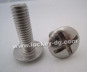 Stainless Steel Mushroom Head Roofing Bolt
