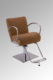 Stainless Steel Salon Chair of Salon Furniture (MY-007-96)