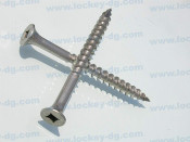 Stainless Steel Self Tapping Screw Deck Screw Type 17