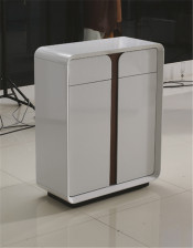 Store Cabinet Shoe Case in Living Room