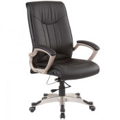 Swivel Chair/Executive Chair/Office Chair (FS-8502)