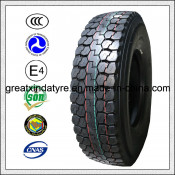 TBR Tire with High Quality and Competitive Price 10r20 11r20 12r20 12r22.5