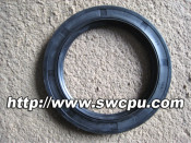 Tc Oil Seal (SWCPU-R-OS052)