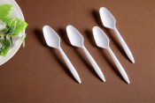Teaspoon Tea Spoon PP Spoon Pure Virgin Material