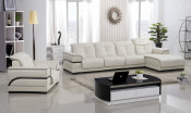 Thailand Living Room Sofa Set (Yj6832)