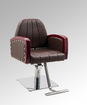 The Newest Styling Chair/Salon Chair/Barber Chair (MY-007-91)