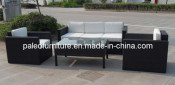 Three Seat Rattan Sofa Set (PAS-3074)