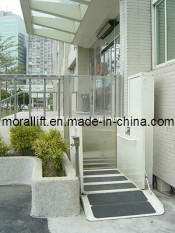 Top Quality Wheelchair Elevator Lift (SJG II)