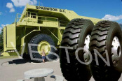 Truck Tyre With GCC (1200R24)
