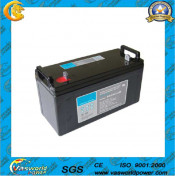 Two Years Warranty Sealed Lead Acid Battery