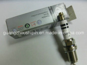 VW Audi Spark Plug for Audi (101905631H)