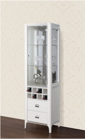 Wine Cellar with Wine Cabinet Home Furniture (JG-198B)