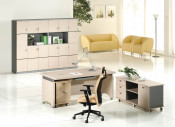Wooden Office Table/Desk (Nancy-ve01)