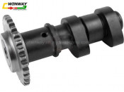 Ww-9601 GS150 Motorcycle Camshaft, Motorcycle Part