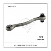 X204 W204 Auto Rear Lower Control Arm for Mercedes Benz China Famous OEM Supplier