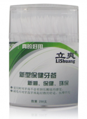 Floss pick Plastic Brushpick toothpick 250pcs box packing