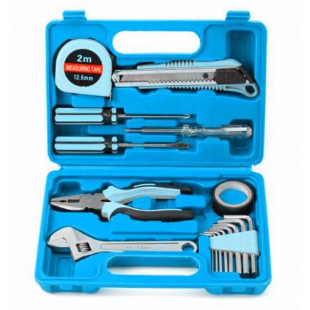 16PCS Household Tool Kit in Blowing Case (FY1016B)