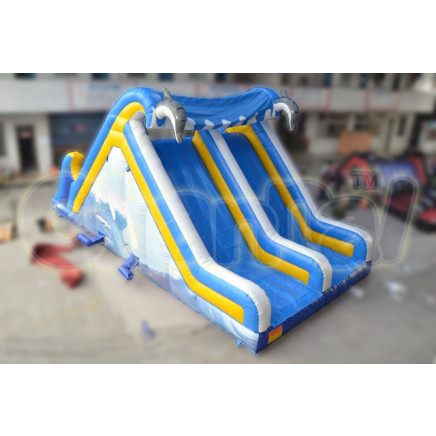 2014 Inflatable Dolphin and Spray Slide Chsl357