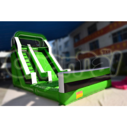 2014 Inflatable Green Slide Chsl352