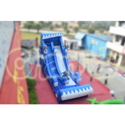 2014 Inflatable Sea Slide Chsl251