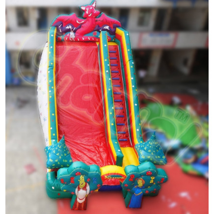 2014 Inflatable Shrek Slide Chsl300