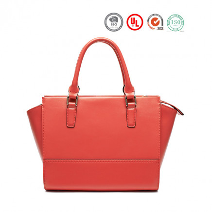 2015 Fashion Design Lady Handbag Fashion Handbags Desinger Handbags (Y025-A2662)