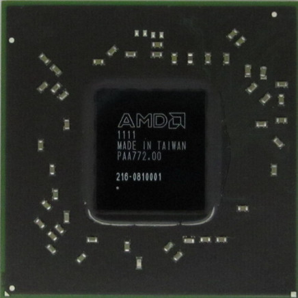 216-0810001