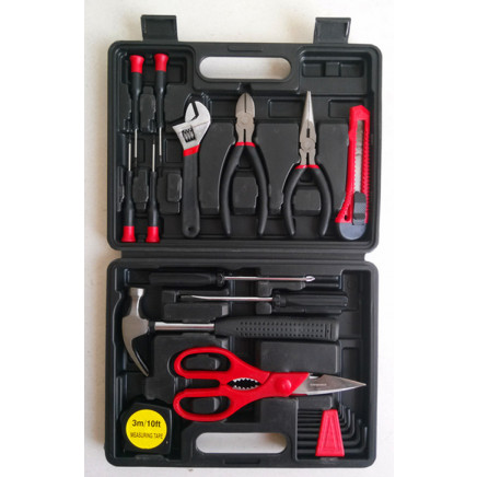 21PCS Professional Household Tool Kit (FY1521B)