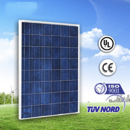 220W Poly Solar Power Panel (We provide long-term spot)