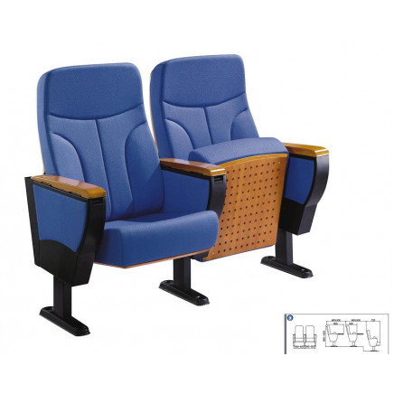 5D Theater Equipment Luxury Cinema Chair Theater Seating Chair Cinema Chair (XC-2038)